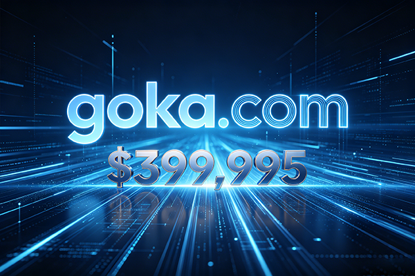 goka.com40万美元成交：一个4字母域名的