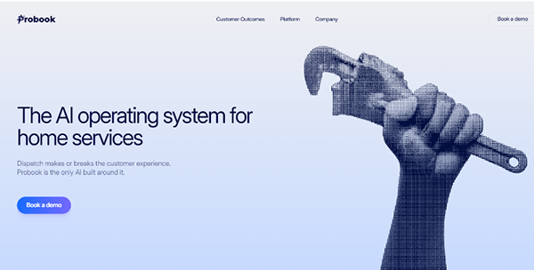 Probook.ai secured $40 million in funding, with its domain name playing a significant role.