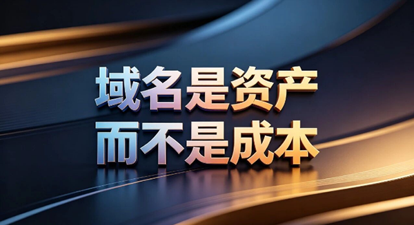 花几百万美金甚至几千万美金买域名，买的到底是什么？