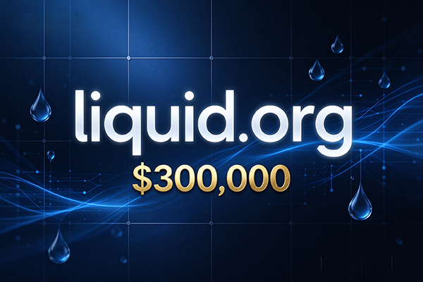Liquid.org Sold for $300,000: Premium .org Domains Still Hold Brand Value