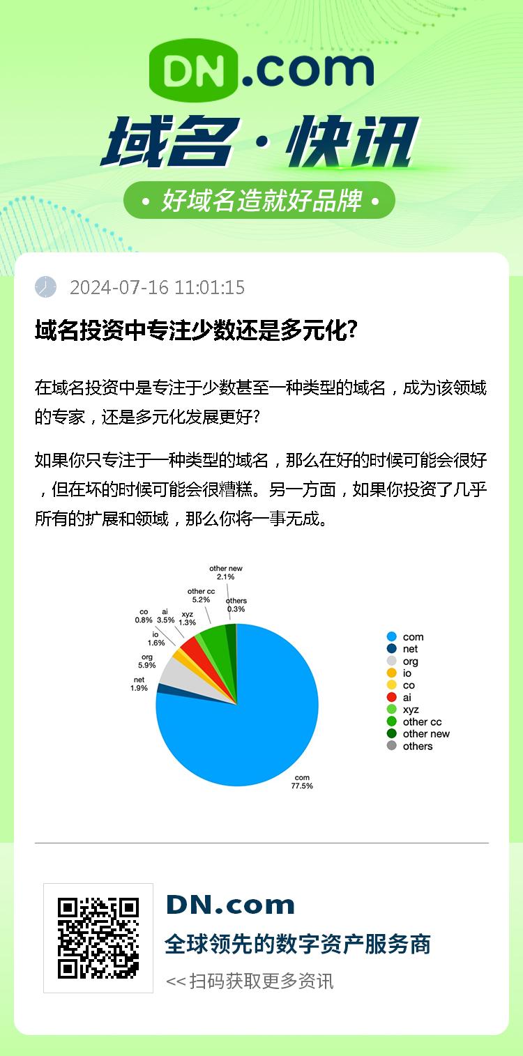 域名投资中专注少数还是多元化?