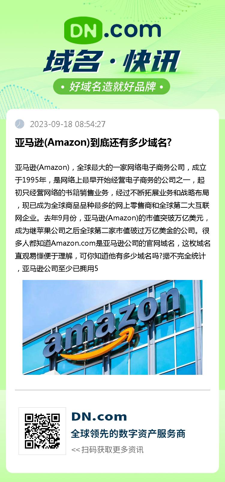 亚马逊(Amazon)到底还有多少域名?