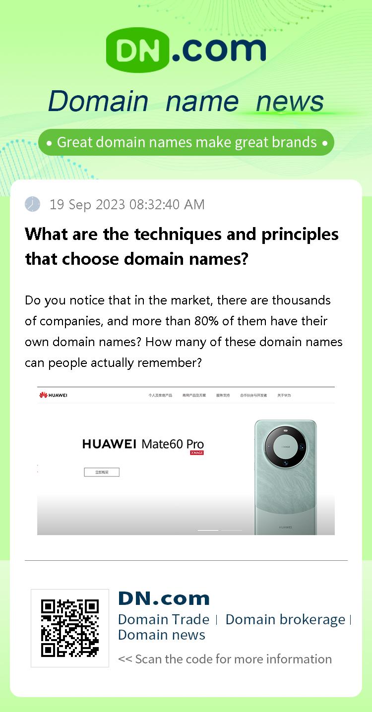 What are the techniques and principles that choose domain names?