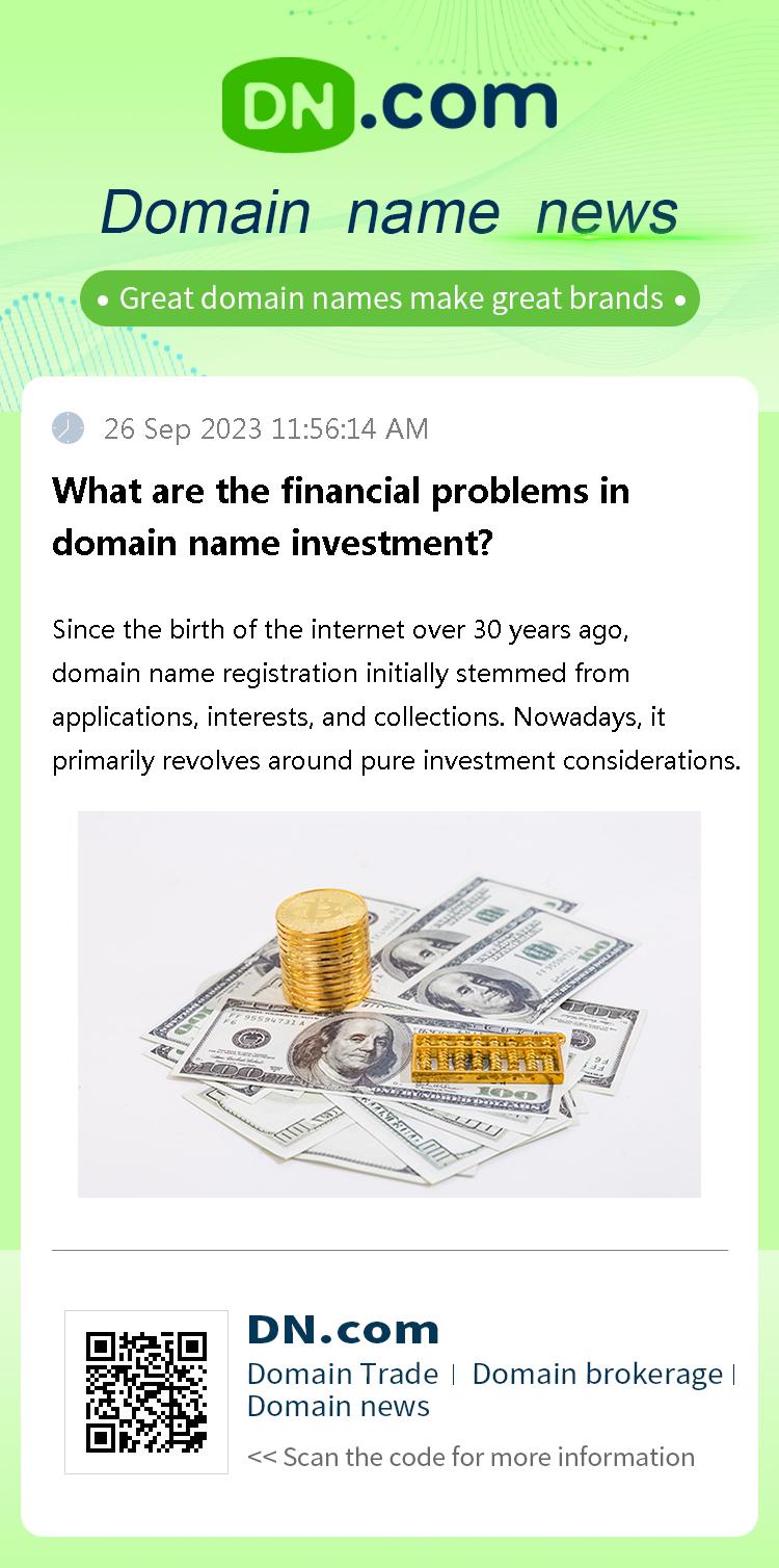 What are the financial problems in domain name investment?