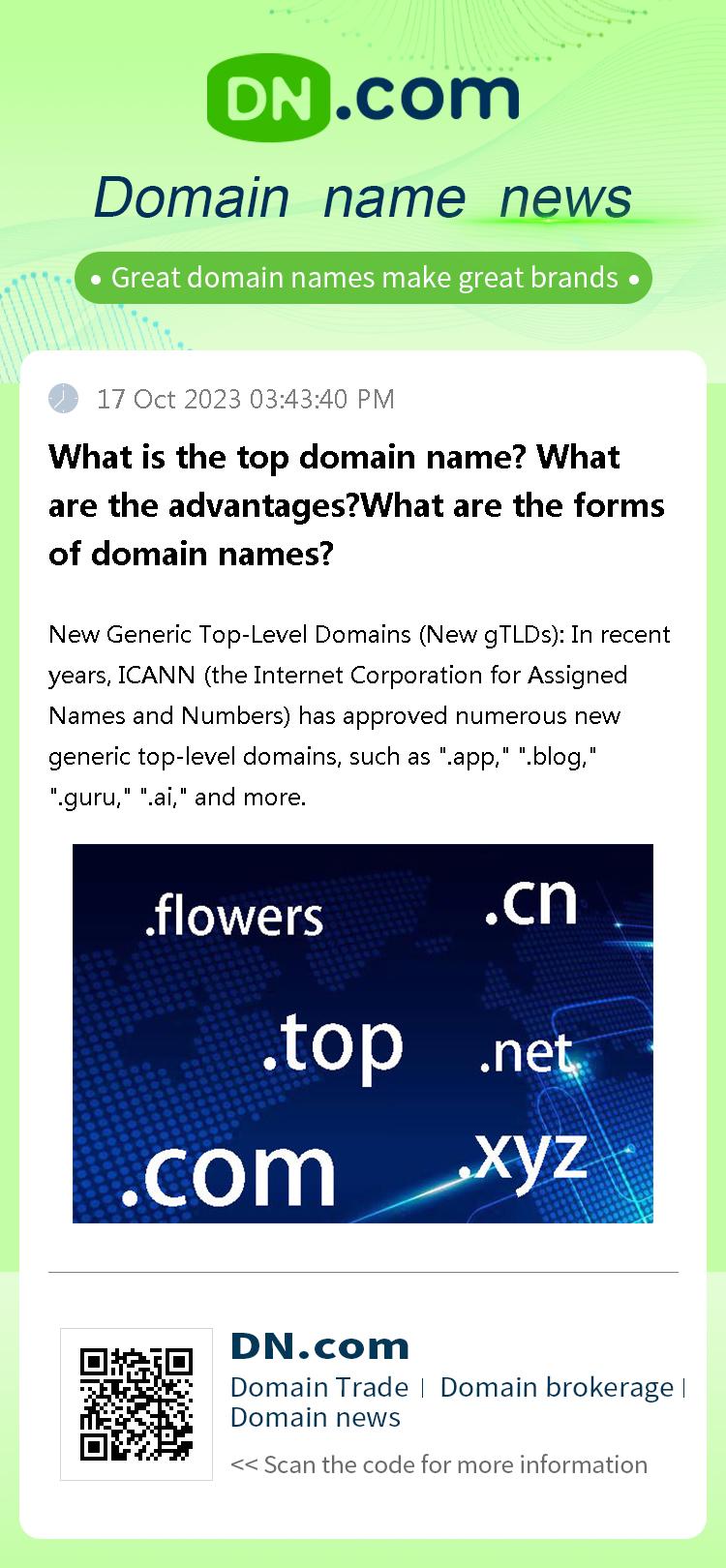 What is the top domain name? What are the advantages?What are the forms of domain names?