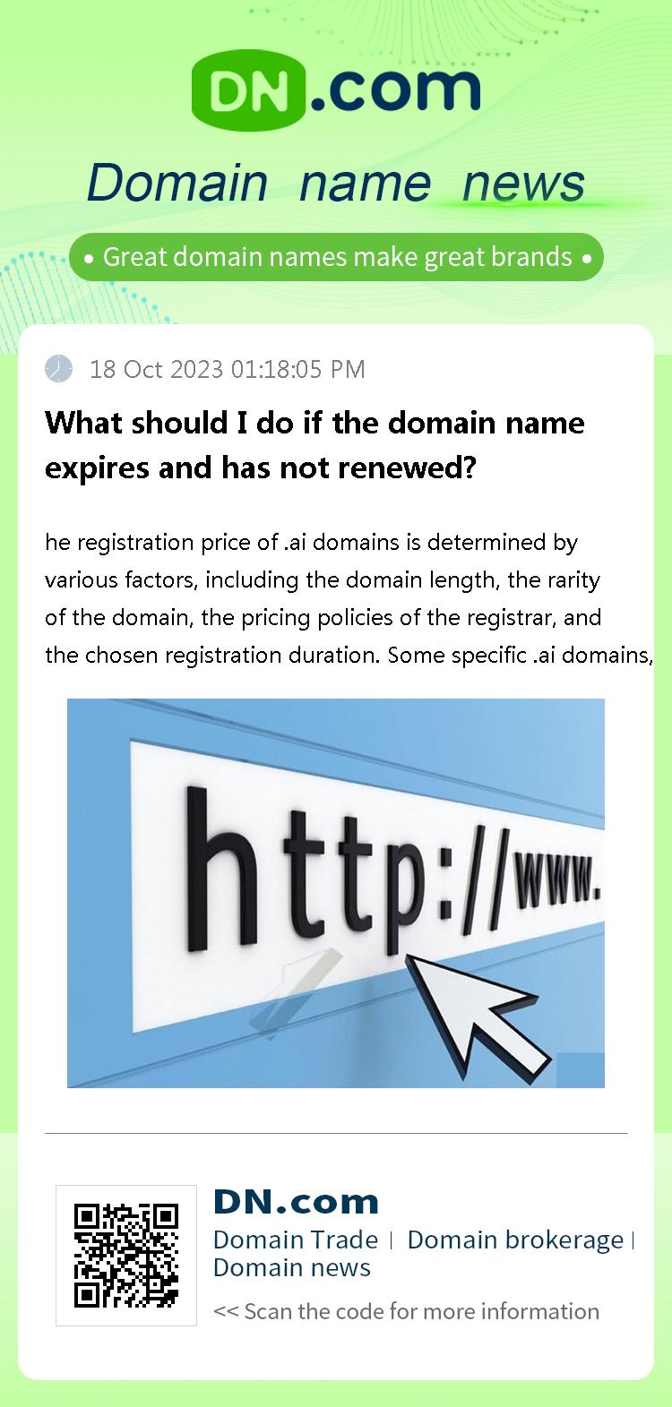 What should I do if the domain name expires and has not renewed?