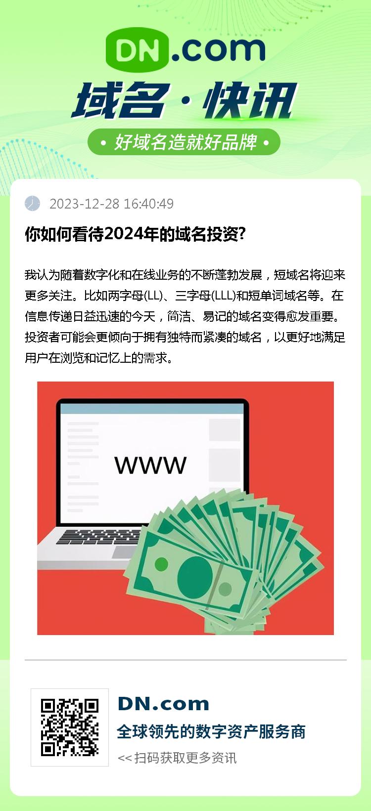 你如何看待2024年的域名投资?