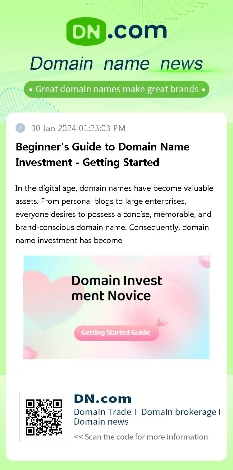 Beginner's Guide to Domain Name Investment - Getting Started