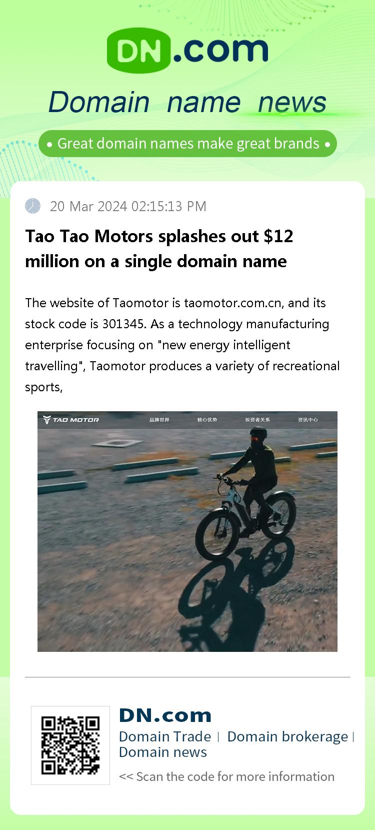 Tao Tao Motors splashes out $12 million on a single domain name