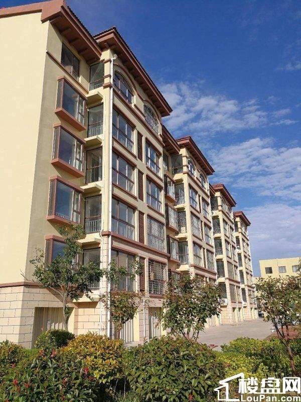 青岛蓝谷产业区 温泉北洋房 近即墨二中 配套完善 买房送地