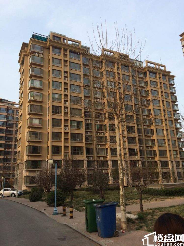 165平四室《两卧一客朝阳!金石晶城!送车储免税