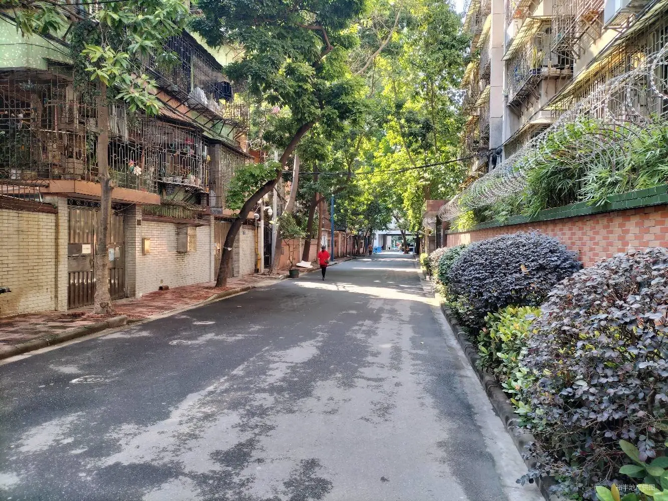 农林上路七横路大院