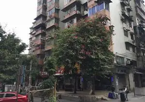 马涌直街小区