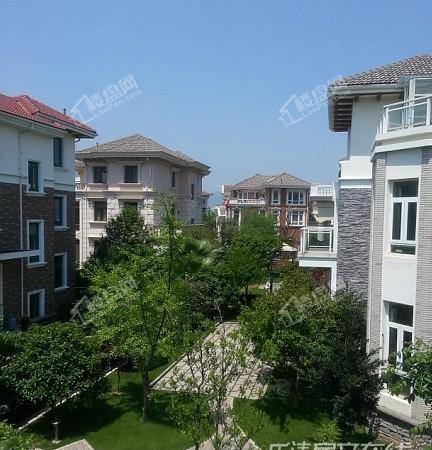 上海花园独栋330平方 占地面积达550平方以上 花园大 售价1300万