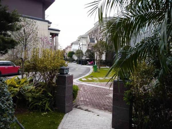 上海花园独栋别墅380平 花园面积300平超值性价比证满2年