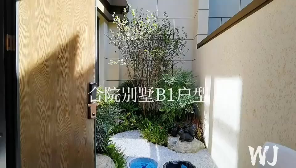 海南雅居乐清水湾合院B1户型样板间