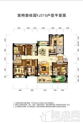 嵩明碧桂园YJ215户型 4室2厅3卫1厨