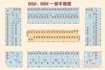 中恒蚌埠义乌国际商贸城B5#、B6#一层平面图 1室1厅1卫1厨