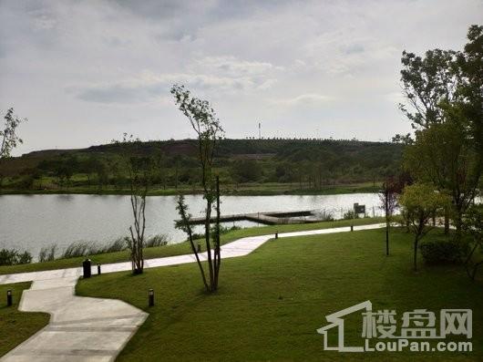 格力两江总部公园周边湖泊