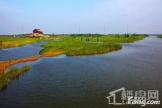 杭州湾星河荣御杭州湾湿地公园