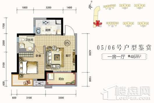 国瑞·山湖海庄园1栋05/06户型46㎡ 1室1厅1卫1厨