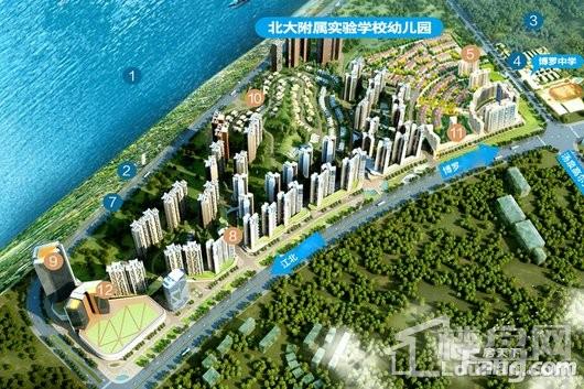 中洲半岛城邦项目鸟瞰图