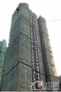 大中华·幸福城项目12栋工程进度图