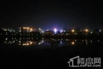 新城·鹿江风华周边配套-漉江公园夜景