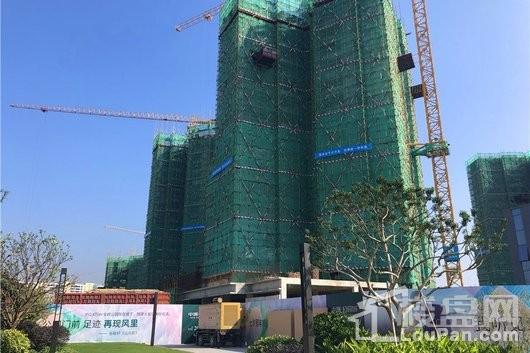 中洲公园城楼栋施工进度图