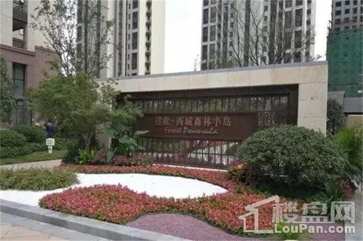 建业西城森林半岛实景图