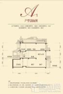 江山墅A1户型户型剖面图 5室2厅3卫1厨