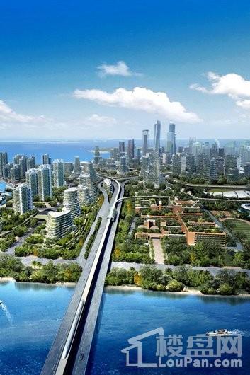 碧桂园森林城市马来西亚森林城市整体规划C3鸟瞰图