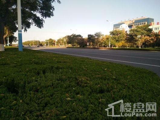 龙口中南熙悦北侧道路实景