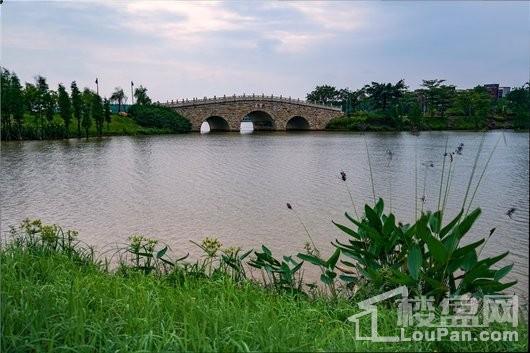 绿地·樾湖国际生态城实景图