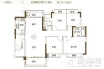 雅域·瑞日天下花园9座01单元125-128㎡ 4室2厅2卫1厨