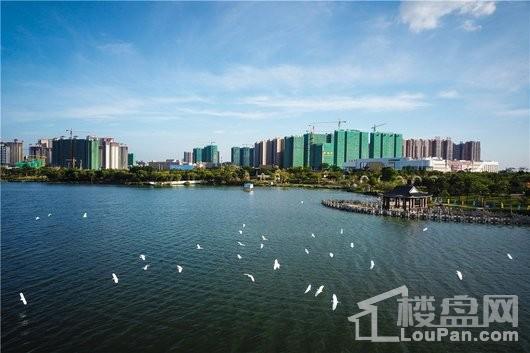 时代香海彼岸（清远）距离项目100米的飞来湖