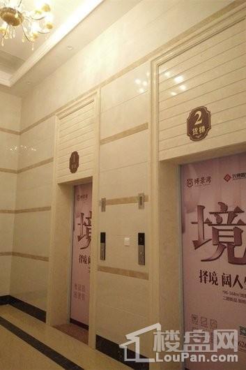 博景湾项目电梯