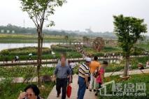 中海国际社区周边配套之那考河湿地公园