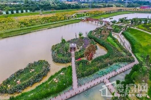 中海国际社区周边配套之那考河湿地公园