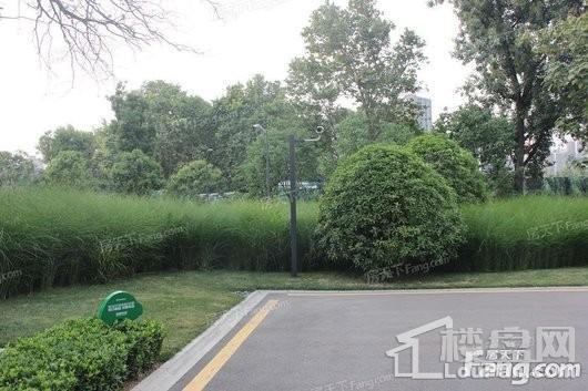 陕汽·泾渭国际城小区园林景观