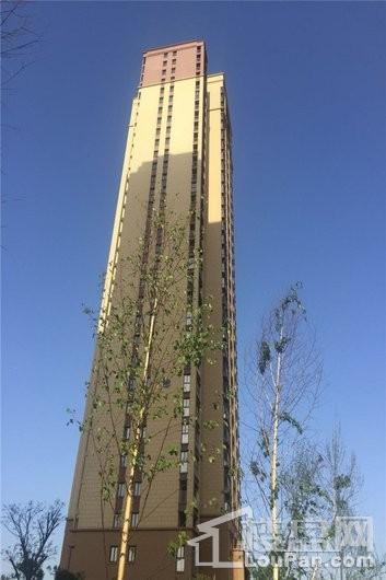 天湖名郡楼栋实景