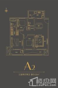 大桥·悦时代A2户型120㎡三室两厅两卫 3室2厅2卫1厨