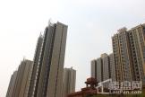 阳光鑫城实景图