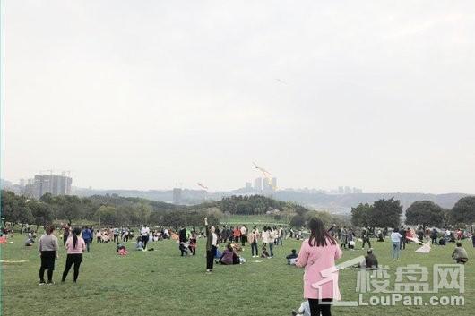 龙湖·景粼玖序项目周边中央公园