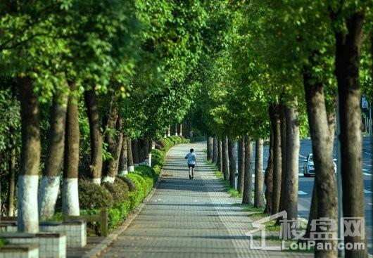 华宇·龙州府周边绿化