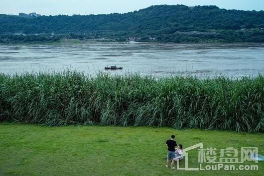 华宇·龙州府周边江景