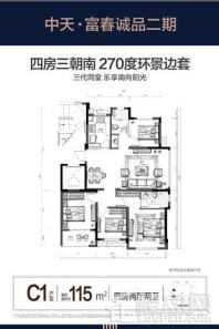 中天富春诚品（三期）C1户型 4室2厅2卫1厨