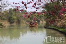 阳光城未来悦附近的西溪湿地