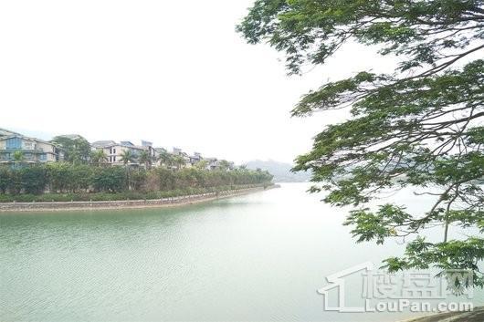 碧桂园森林湖湖景 (1)