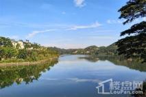 碧桂园森林湖湖景 (3)